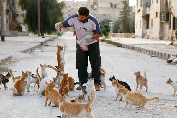 Чоловіка, який рятує  котиків у Сирії, хочуть висунути на Нобелівську премію - фото 1