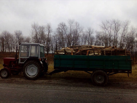 На Сумщині поліцейські виявили незаконне транспортування деревини - фото 1
