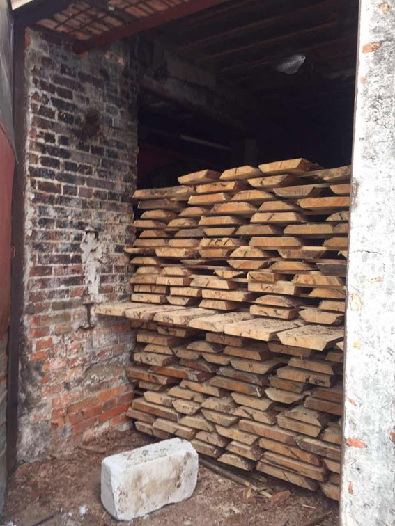На Харківщині викрили масштабні оборудки з деревиною (ФОТО)  - фото 4