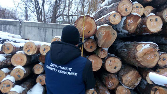 На Харківщині викрили масштабні оборудки з деревиною (ФОТО)  - фото 3