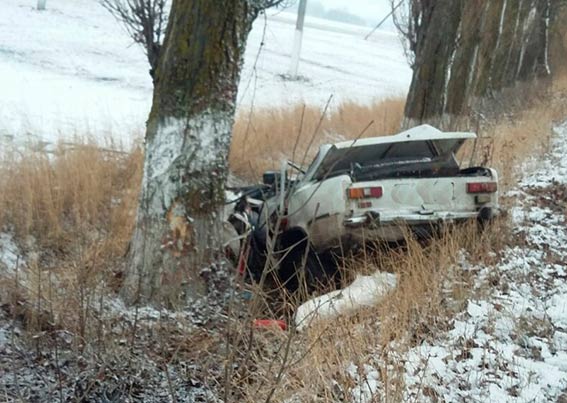 У Козятинському районі легковик врізався в дерево: Загинули двоє людей  - фото 1
