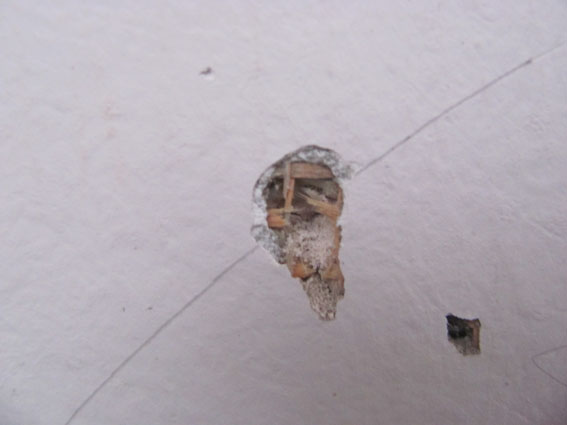 У Харкові показали підірвали підірване подвір'я кримінального авторитета (ФОТО) - фото 2