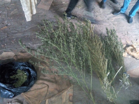 На Ужгородщині знайшли "нарколабораторію" і сім кілограмів наркотиків - фото 3