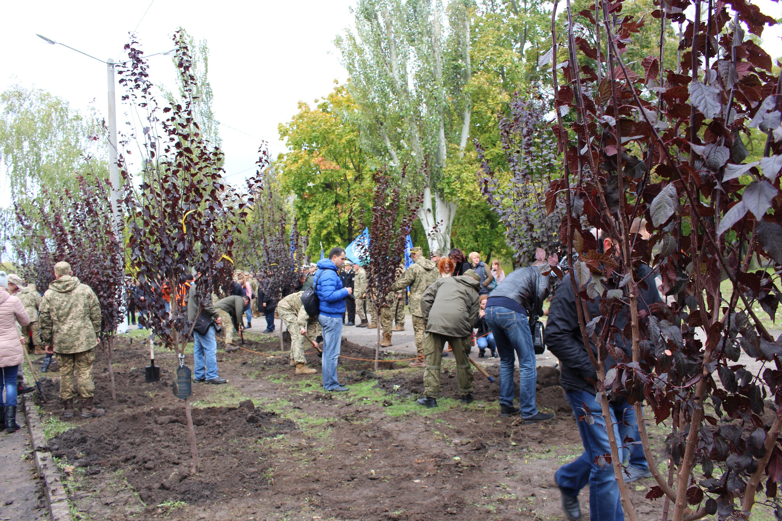 У Миколаєві заклали алею пам'яті загиблих військових