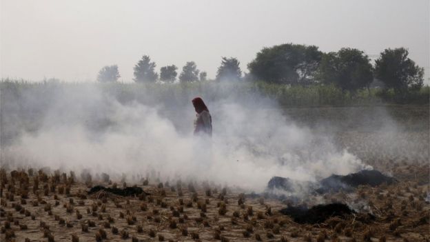 Індію потерпає від смогу: школи закриті, люди сидять вдома (ФОТО) - фото 4