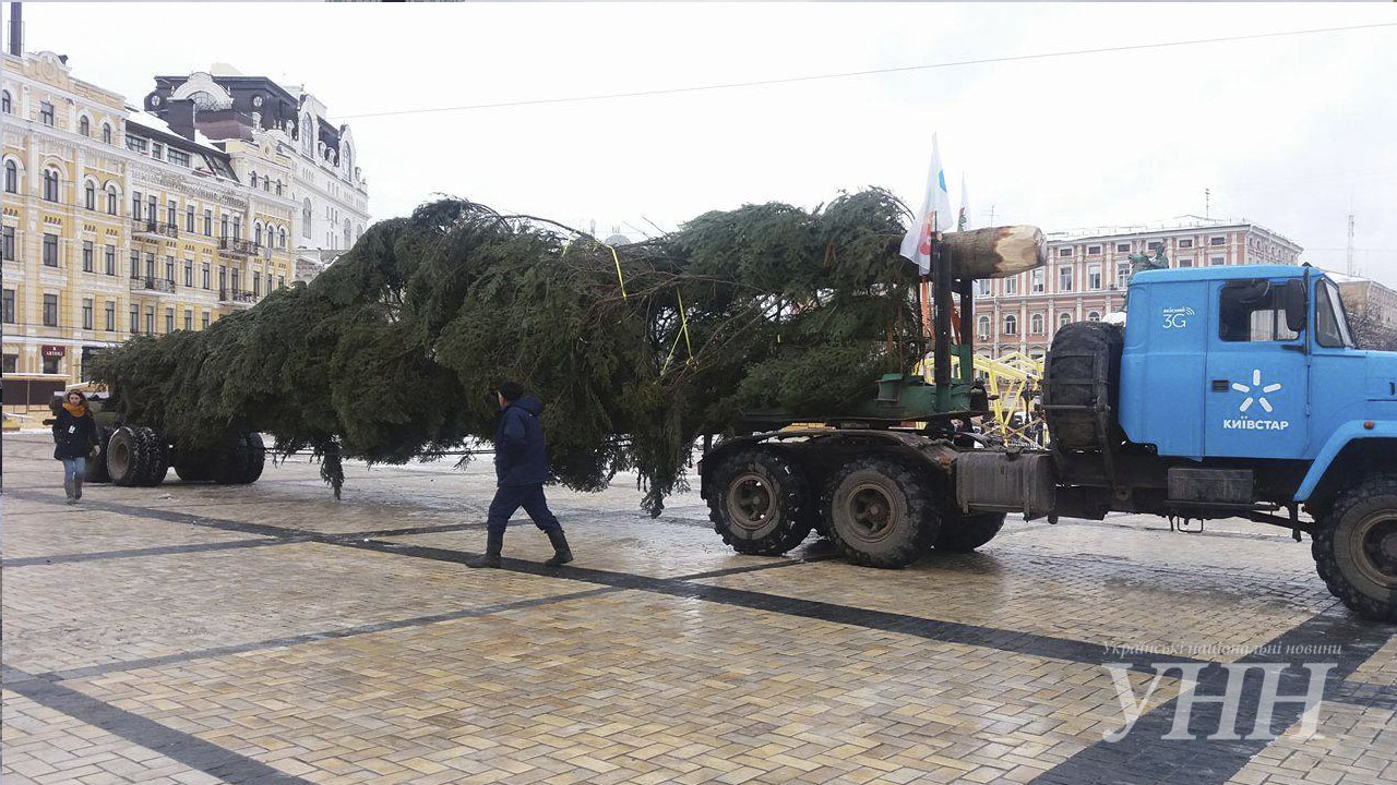 Головна ялинка країни прибула в Київ - фото 3