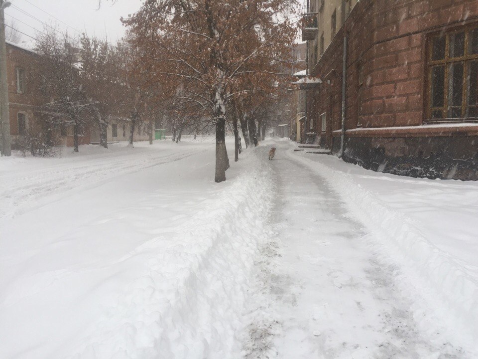 Харків засипало снігом: мешканці міста скаржаться на комунальників (ФОТО)  - фото 2