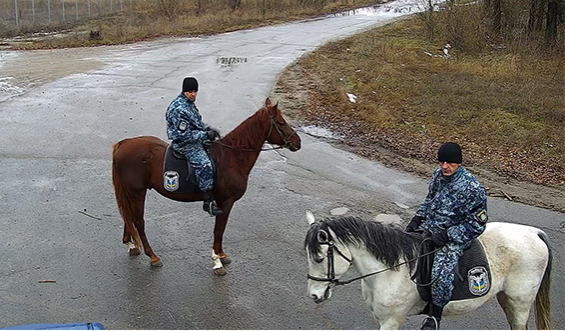 На Дніпропетровщині безпілотники виявлятимуть "мисливців" за ялинками - фото 2