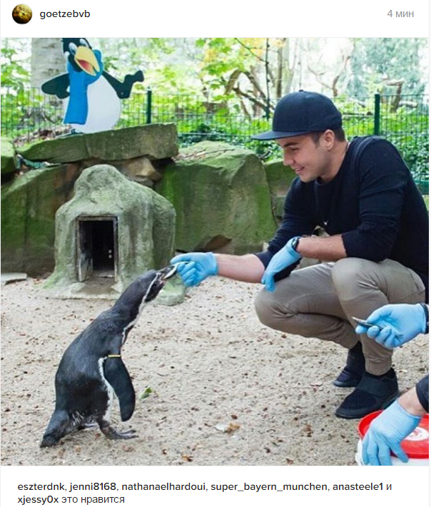 Як зірка "Боруссії" годував пінгвінів - фото 2