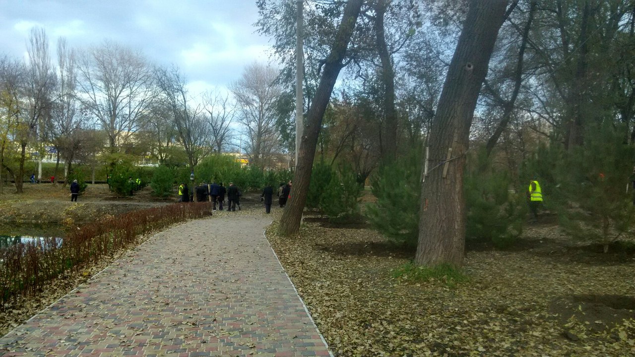 У головному парку Запоріжжя висадили понад сотню дубів та сосен - фото 3