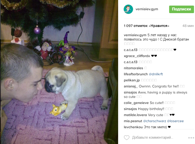 Як зірковий Верняєв вітав з днем народження свого собаку - фото 1