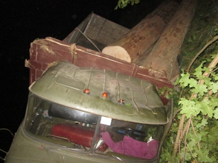 На Закарпатті загинули двоє чоловіків, котрі незаконно рубали ліс - фото 2