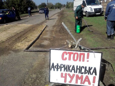 На Березанщині оголосили 40-денного терміну до зняття карантину по АЧС  - фото 1