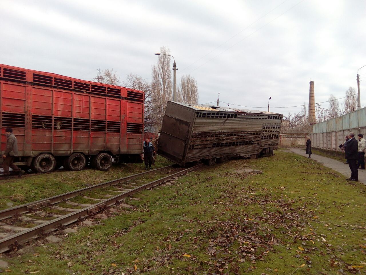У Миколаєві фура з коровами врізалася в потяг 