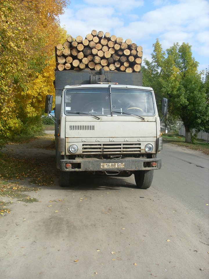 На Луганщині виявили понад 200 фактів незаконного перевезення та вирубки деревини (ФОТО) - фото 4