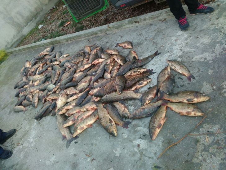 На Одещині затримали браконьєрів з 400-стами кілограмами риби - фото 1