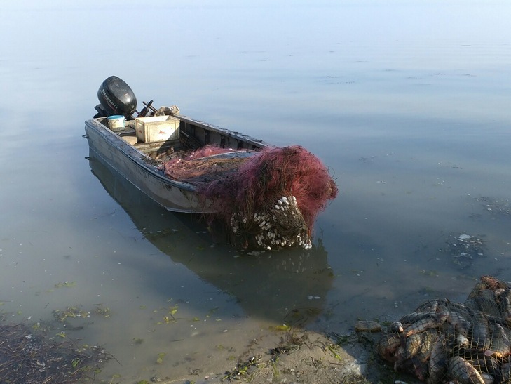 На Одещині затримали браконьєрів з 400-стами кілограмами риби - фото 2