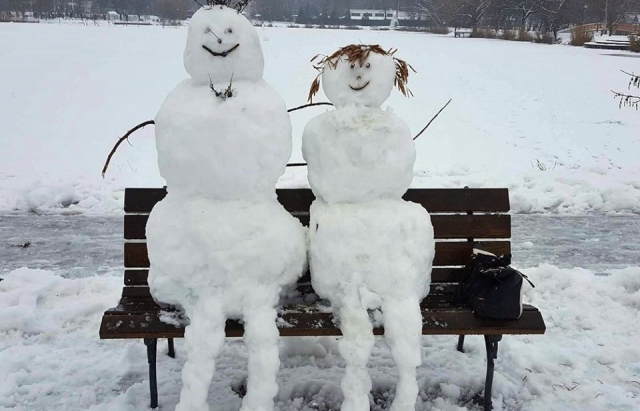 Закарпатці та угорці змагаються, хто зліпить найкреативнішого сніговика - фото 3