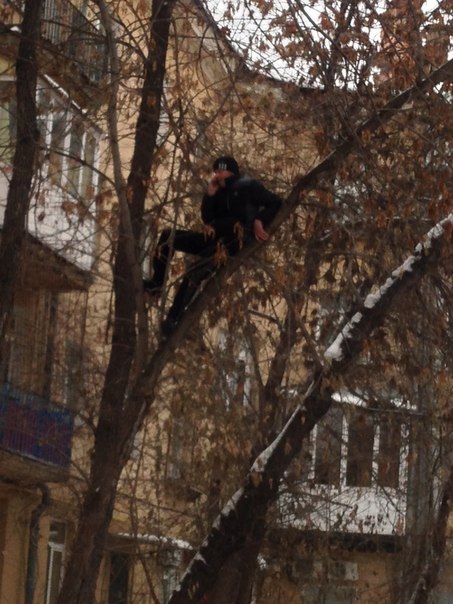 На Росії юнак заліз на дерево, щоб зробити селфі на Nokia 3310 - фото 2