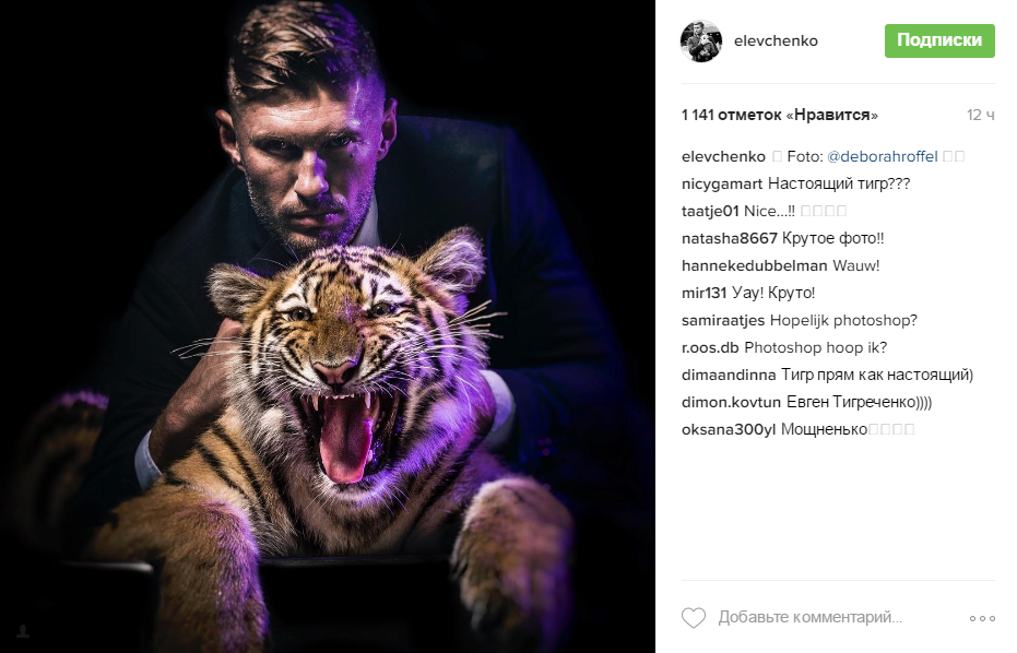 Експерт каналу Ахметова приборкав тигра - фото 1