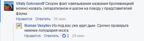 Для чого у Кропивницькому прокинулися "єлисаветградці" і влаштували сходку  - фото 8