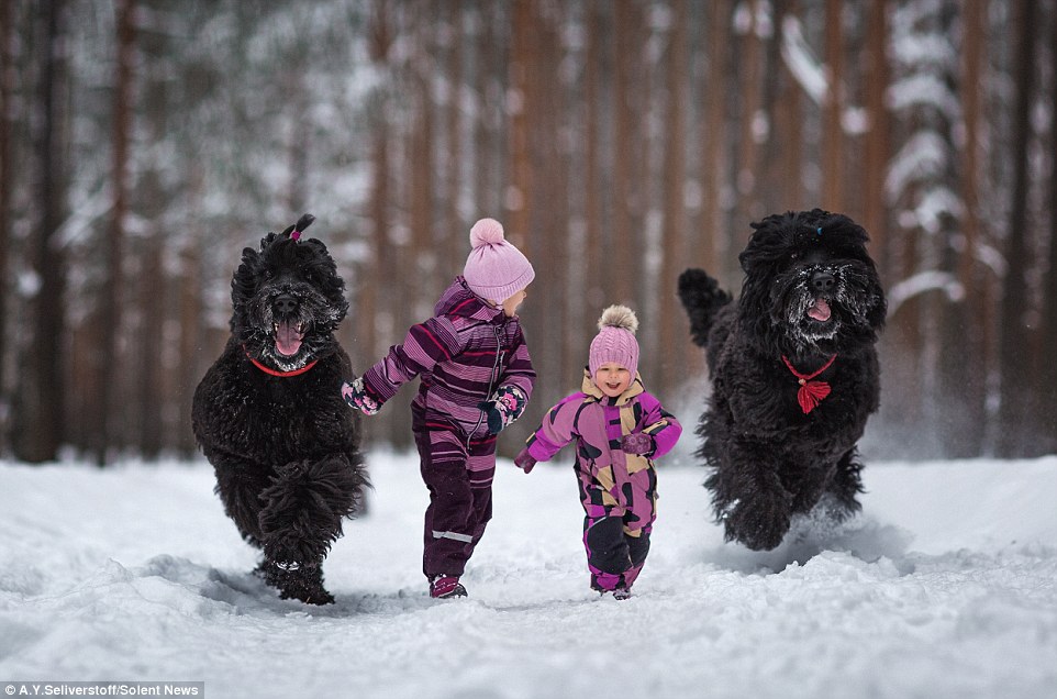ТОП-8 гігантських собак, які подружились із крихітними дітьми - фото 7