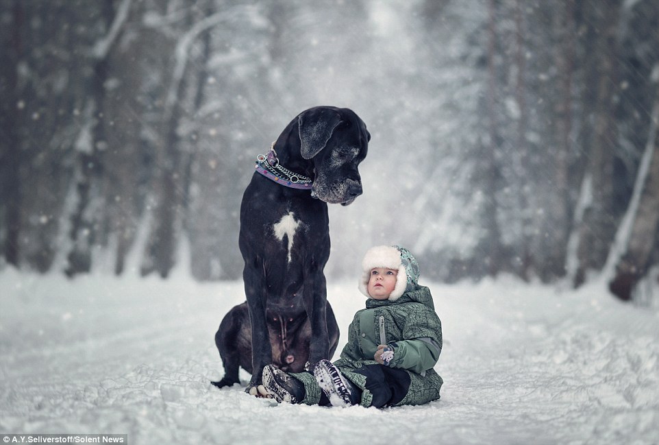 ТОП-8 гігантських собак, які подружились із крихітними дітьми - фото 5