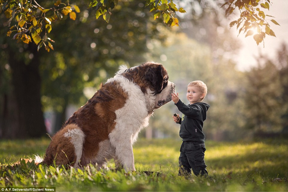 ТОП-8 гігантських собак, які подружились із крихітними дітьми - фото 1