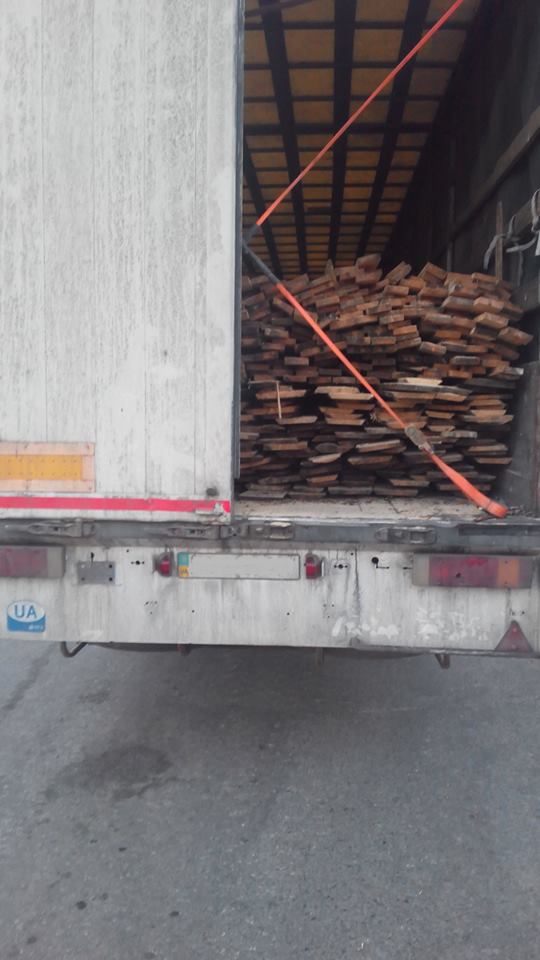 На Луганщині виявили понад 200 фактів незаконного перевезення та вирубки деревини (ФОТО) - фото 3