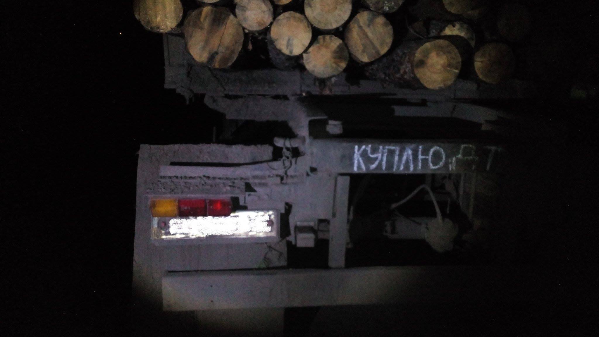На Луганщині виявили понад 200 фактів незаконного перевезення та вирубки деревини (ФОТО) - фото 2