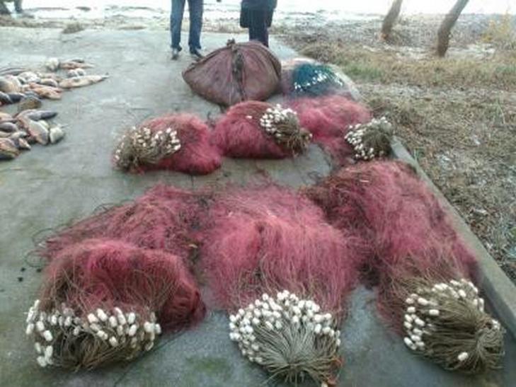 На Одещині затримали браконьєрів з 400-стами кілограмами риби - фото 3