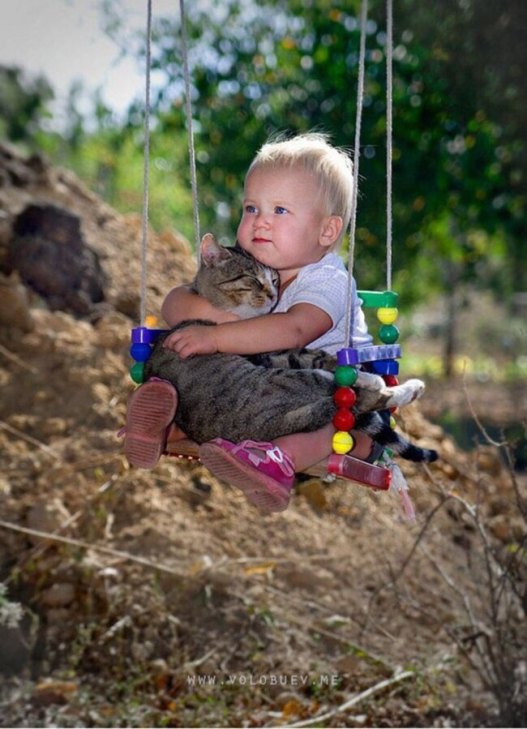 Як виглядають докази того, що дітям просто необхідні коти  - фото 4