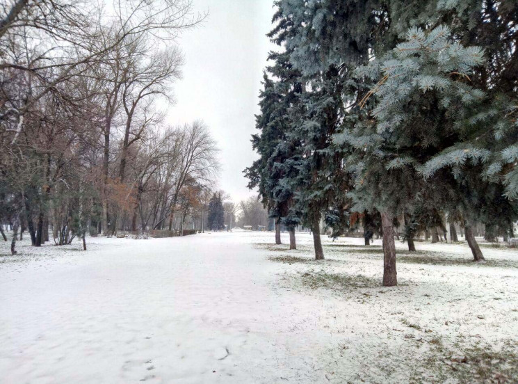 Арт-вечірка, історія місцевого пива, уро…