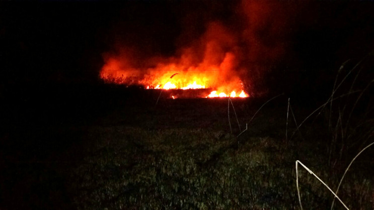 Під Полтавою пожежа охопила близько 12 г…