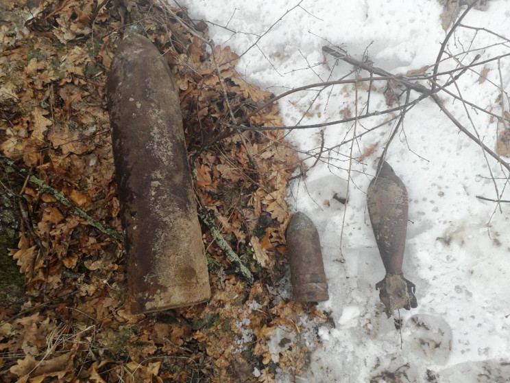 В Кропивницком районе нашли боеприпасы…