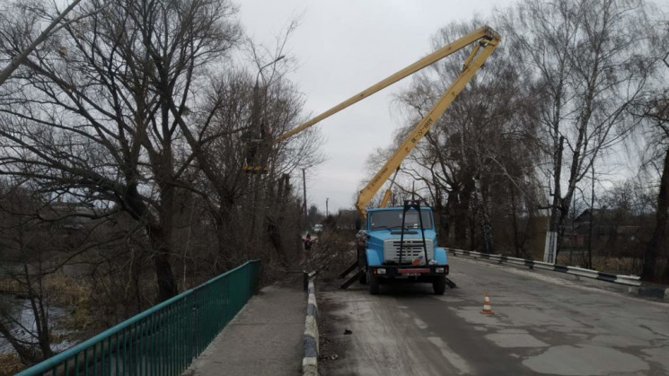 У Славуті зайнялися санітарною рубкою де…