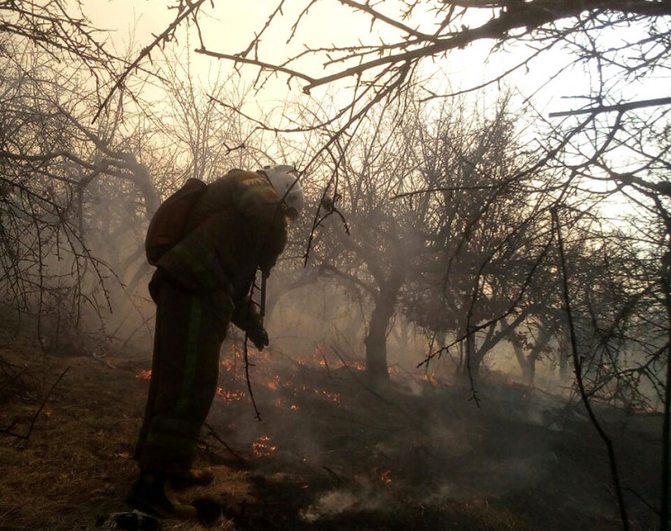 Пожары не утихают: Спасатели тушили сухо…