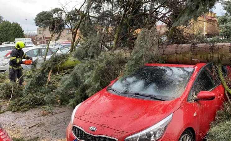 Поваленные деревья и разбитые автомобили…