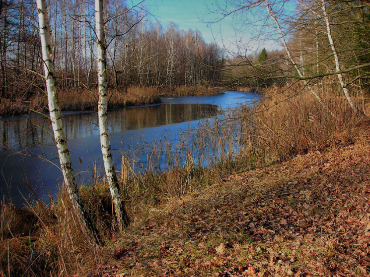 Безсніжна зима несе серйозні загрози водоймам, - екологи – новини ...