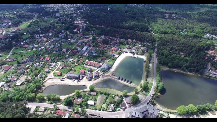 У лісі біля Львова невідомий підрізав дв…