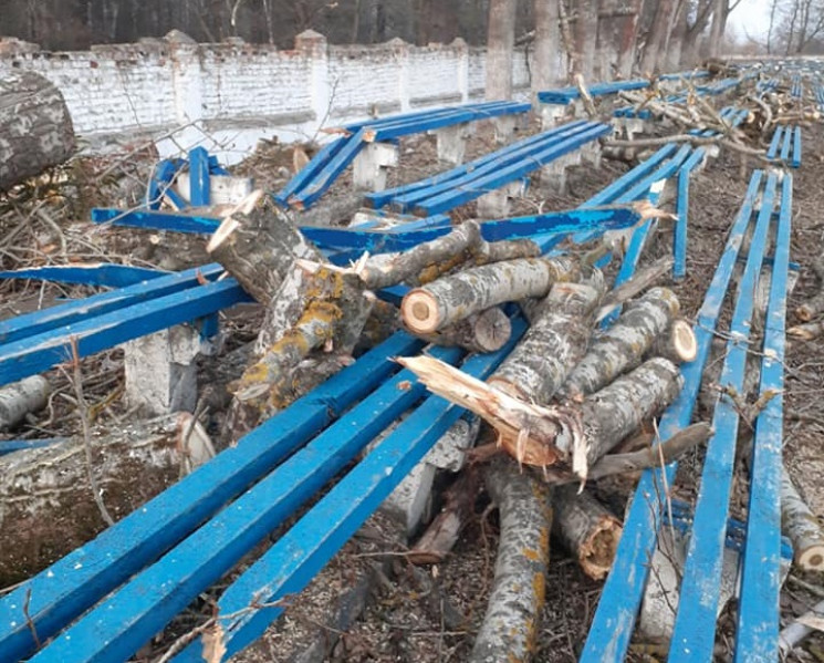 У Шепетівці комунальники обрізали дерева…