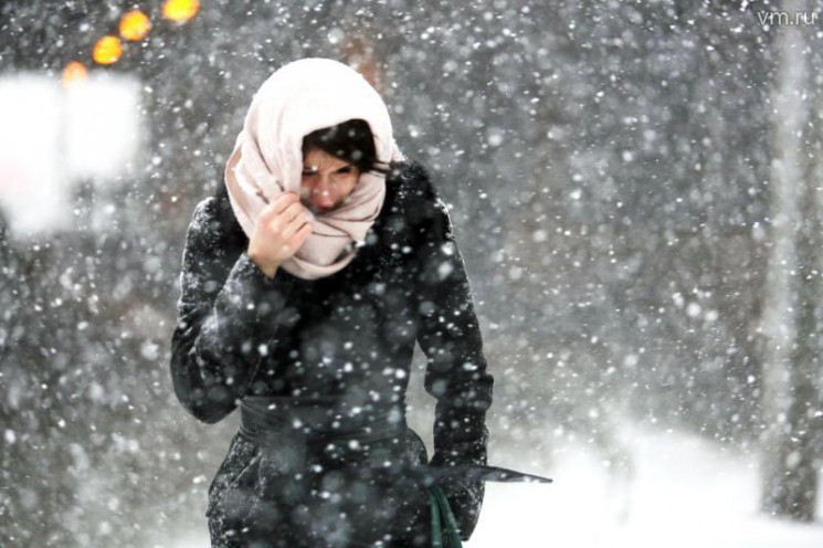 Мокрый снег и сильный ветер: В Киеве объ…