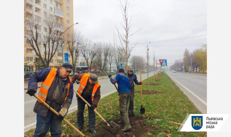 Львів’ян запрошують долучитись до формув…