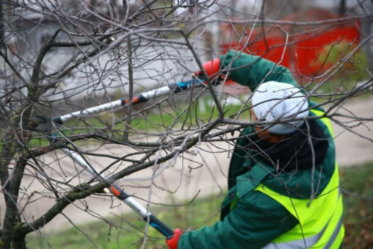 В Олександрії витратять 6,8 мільйонів гр…