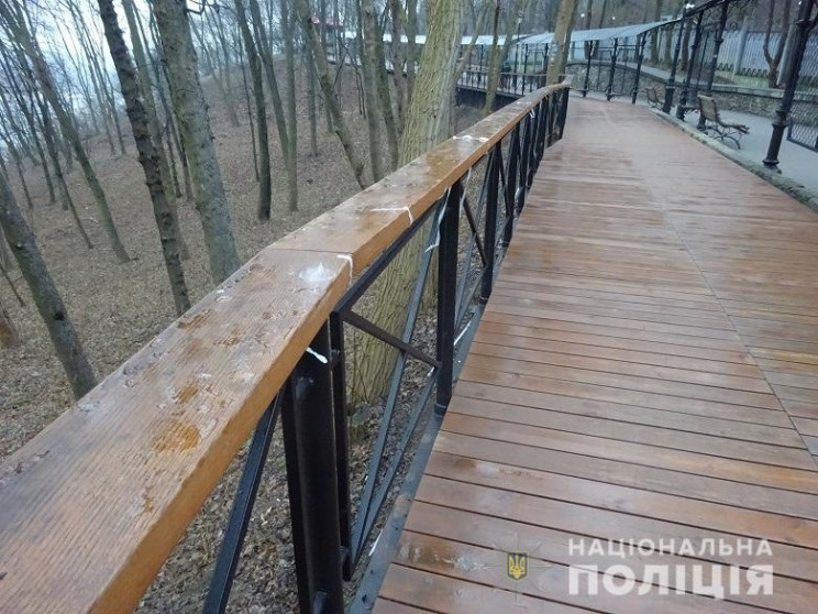 Копи заримали вандала, який потрощив LED…