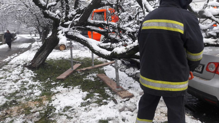 У Сколе дерево перегородило рух транспор…