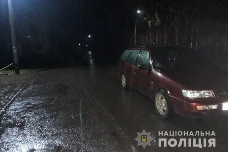 На Тернопільщині пенсіонерка з власної н…