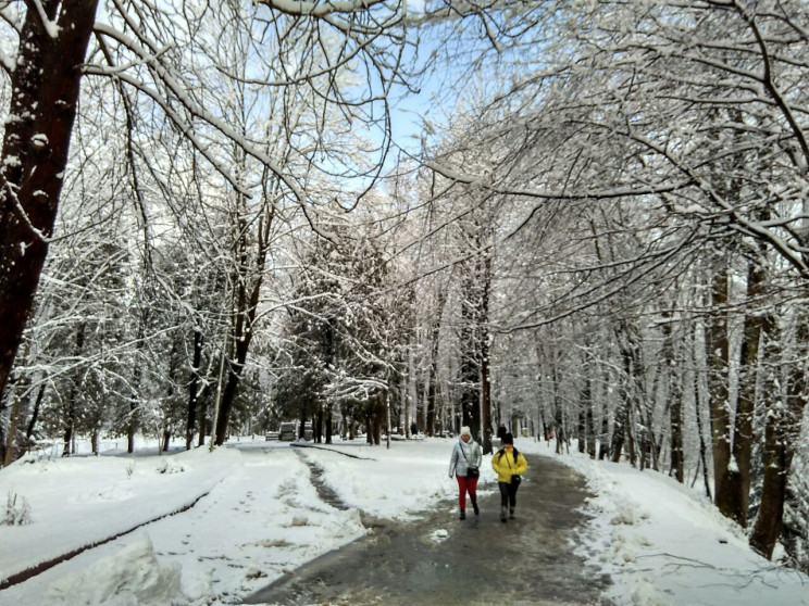 У Львівську область прийшла зима (ФОТОРЕ…