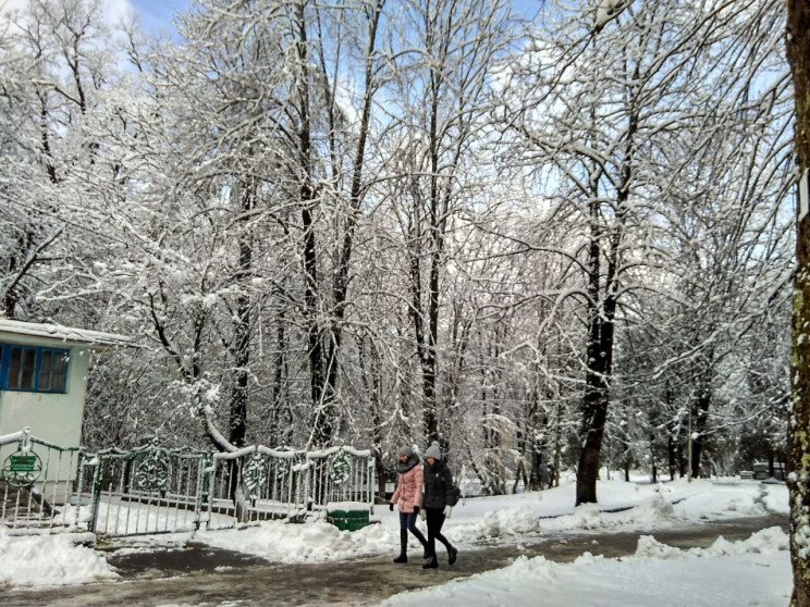 Зима продовжує дивувати Львівщину (ФОТОР…