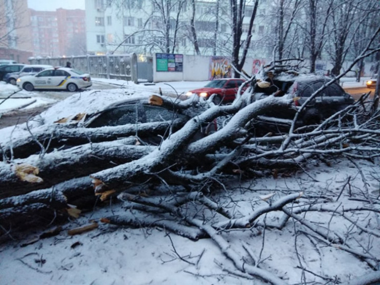 Понівечені автівки і обірвані електродро…